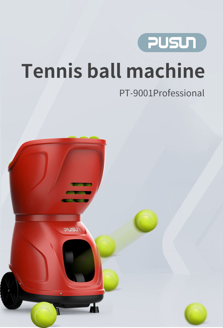 204656861_